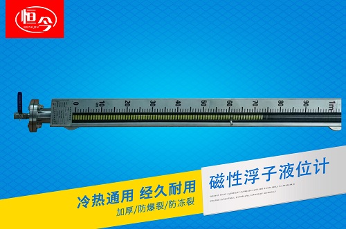 磁浮子液位計（普通側裝